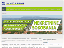 Tablet Screenshot of necaprom.com